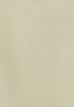 Gerry Weber Halbarm Mit Ärmelaufschlag - Overhemdblouse - Sage -Kleding Hoog Verkoopwinkel f2514a477a6e496e8f961004fa69231d